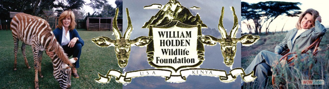 WILLIAM HOLDEN WILDFOUNDATION
