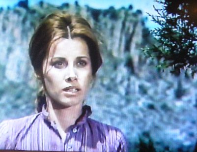 Shootout in a One-Dog Town Stefanie Powers